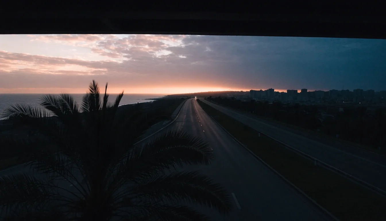 Gulf coastal highway at dusk seen from an overpass, palm silhouettes in the near foreground