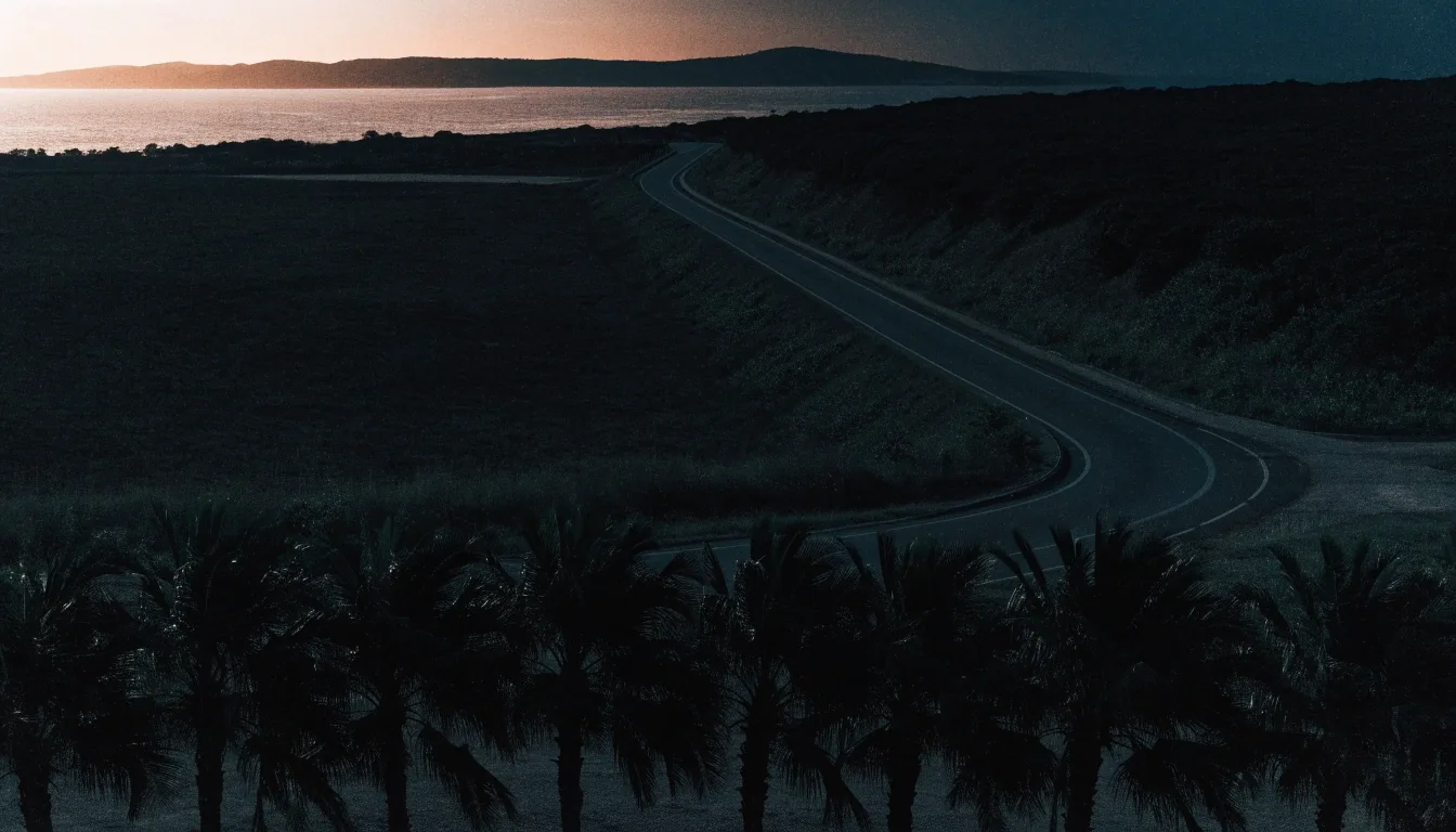 Coastal Gulf road corridor at dusk seen from an overpass, palm silhouettes in the foreground