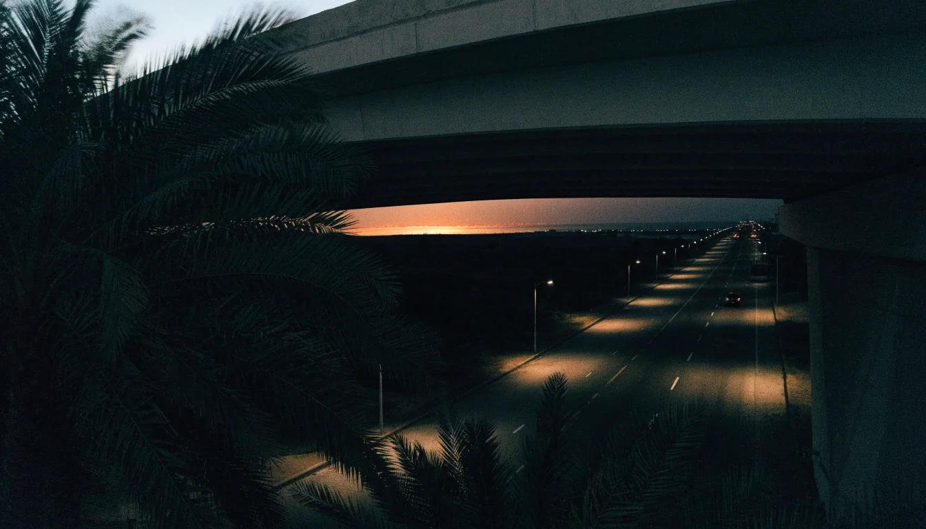 Coastal Gulf carriageway at dusk seen from an overpass, palm silhouettes in the foreground